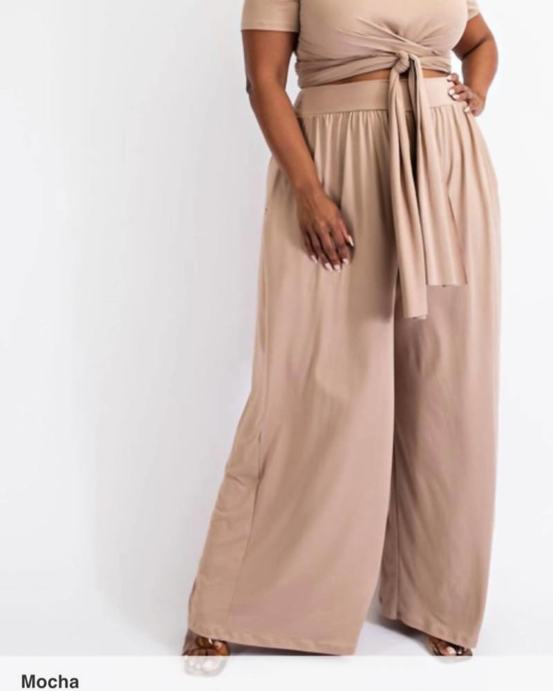 Front of a model wearing a size 2X Charita Two Piece Pants Set In Mocha in Mocha by The Curve. | dia_product_style_image_id:351192